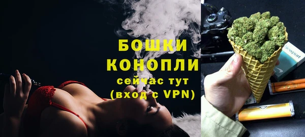 дживик Гусев