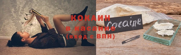 мдпв Гусь-Хрустальный