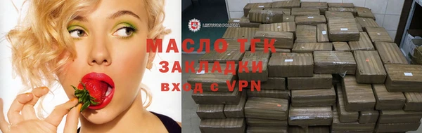 мдпв Гусь-Хрустальный