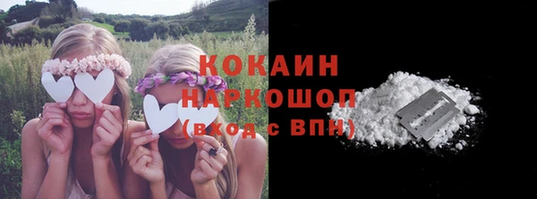 дживик Гусев