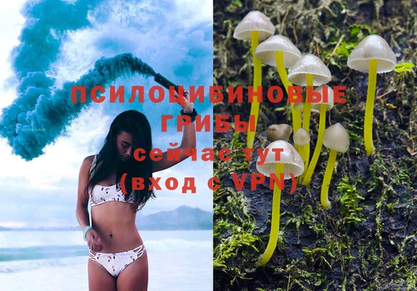 мдпв Гусь-Хрустальный