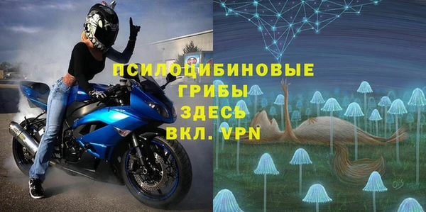 мдпв Гусь-Хрустальный