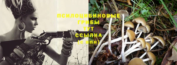 мдпв Гусь-Хрустальный