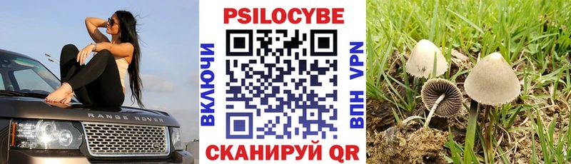 Галлюциногенные грибы Cubensis Дрезна